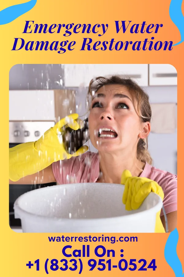 Emergency Water Damage Restoration in Carthage, SD