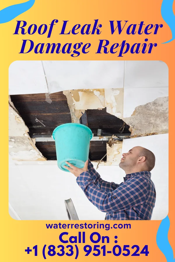 Roof Leak Water Damage Repair in Carthage, SD